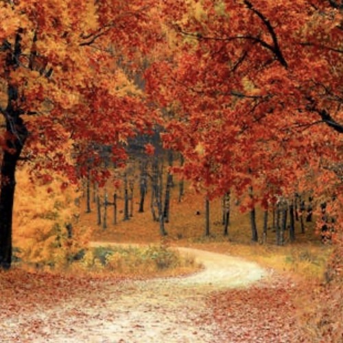 Btz Budd x Traevy - flow.m4a