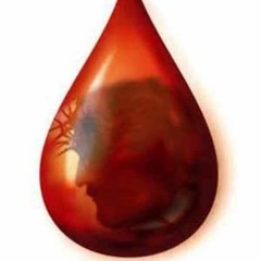REDEEMED BY HIS BLOOD