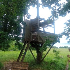 SLOW MELODIC TECHNO SET // DJ ADriHS live from Licis poolparty