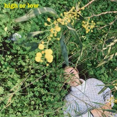 high or low