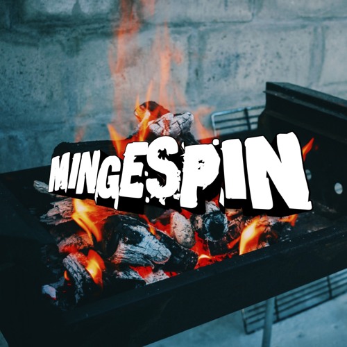 MinGeSpin - Party In My BackYard