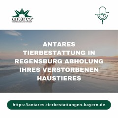 Antares Tierbestattung in Regensburg Abholung Ihres verstorbenen Haustieres