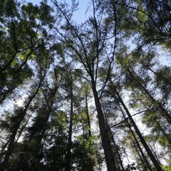 Gestes d'Adieu - Bdroi