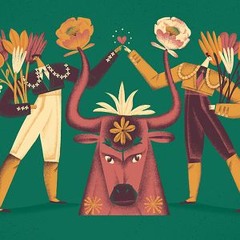 Matador