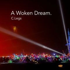 A woken dream. - Burning Man 2022