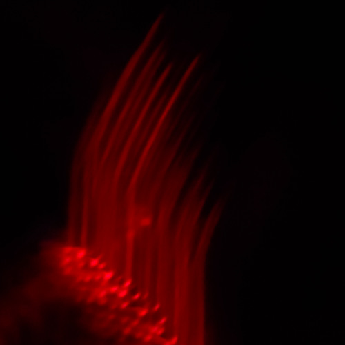 Sam Steele - Live at Gorgomish - Vancouver Pride - Aug 2025