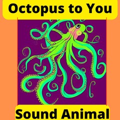 Octopus to You