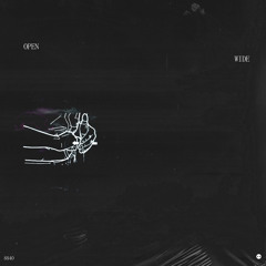 open wii-iide