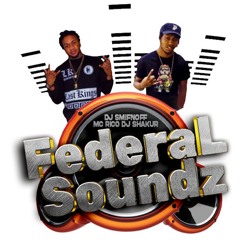 FEDERAL SOUNDZ (100% DUBPLATE)
