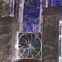 SPIDERS