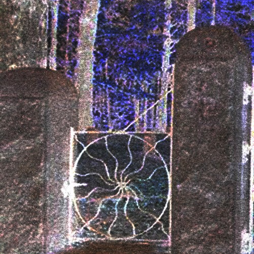 SPIDERS