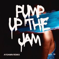 TECHNOTRONIC - PUMP UP THE JAM (AYDAMN REMIX)