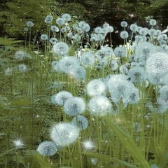 pick don't choose // prod. father serotonin