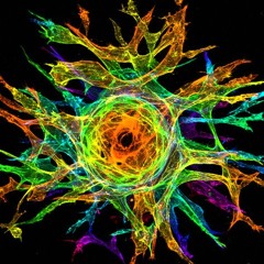 Machines speak Techno #01