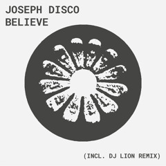 Believe (DJ Lion Remix)