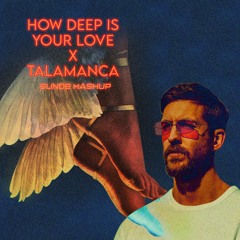 How Deep Is Your Love x Talamanca - Calvin Harris vs BURNS (SUNDE Extended Mashup)