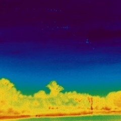 21gramISWorthHumanSoul