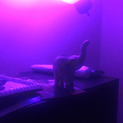 BURN iT down w/ GLD LION & Satellite Empty