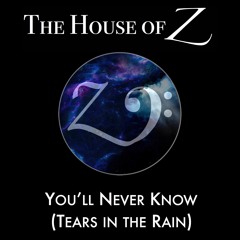 You'll Never Know (Tears in the Rain)