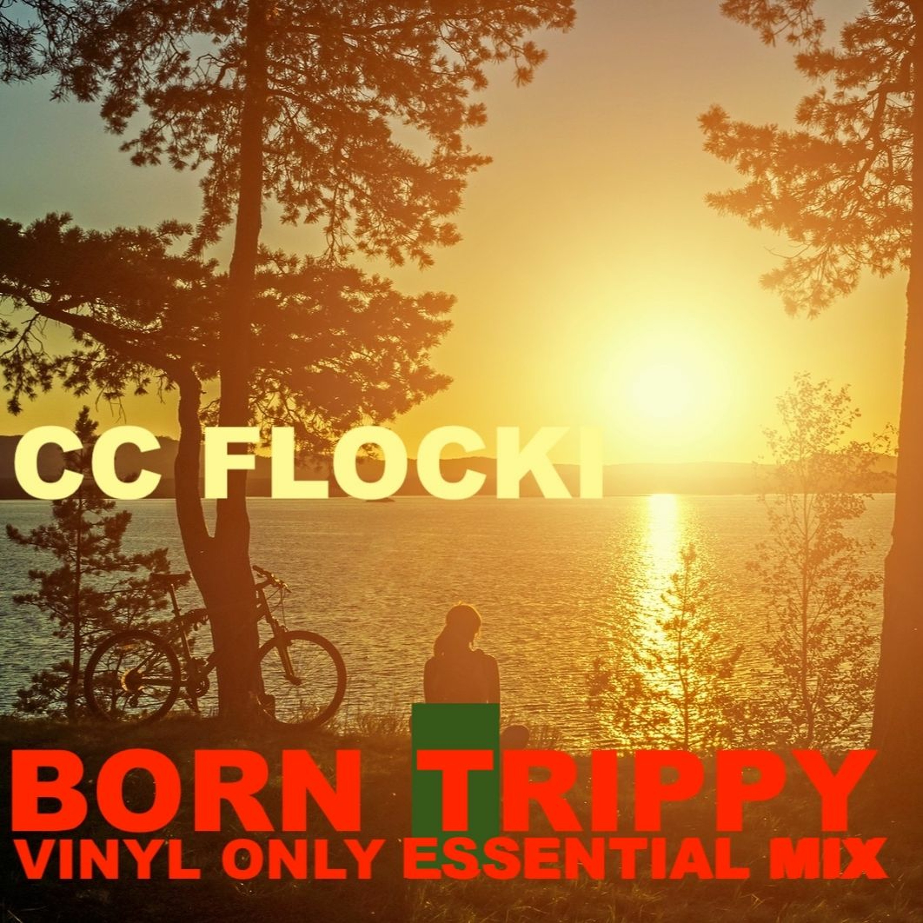 CC FLOCKI