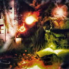 SH1VÄ + СУМКА33 ((B0NVZ)