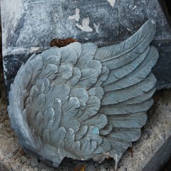 Broken Wing