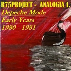 PHPTPGRAPHIC[bizarre] (Depeche Mode cover)