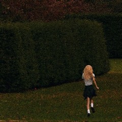 toxic till the end(Wonderwall mix)-ROSÉ