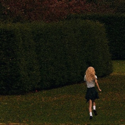 toxic till the end(Wonderwall mix)-ROSÉ