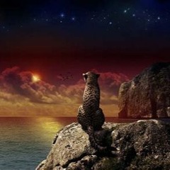 Starlight