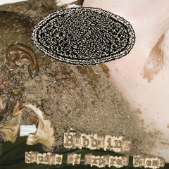 Maggots Feeding In A Hollowed Cadaver