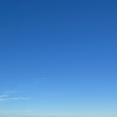 shaunmitscharf & aldi im hause