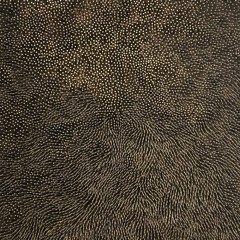 Cow Tools @ Bossa Nova Civic Club 7.15.2025