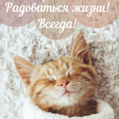 НАМ НУЖНО БОЛЬШЕ ДОБРОТЫ ФРИСТАЙЛ (zanthin)