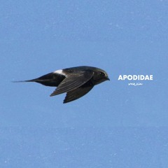 Apodidae
