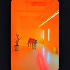 There's A Tiger In An Orange Lit Room.mp3