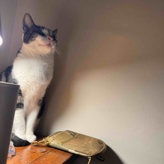 BPM 01 July2025acid.wav