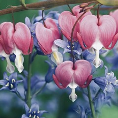 It’s over (Interlude) 🥀