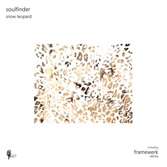 Soulfinder - Snow Leopard (Framewerk Remix)