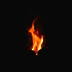The Last Ember