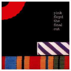 Paranoid Eyes (Pink Floyd Cover)