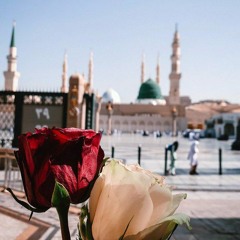 شَوْق ..