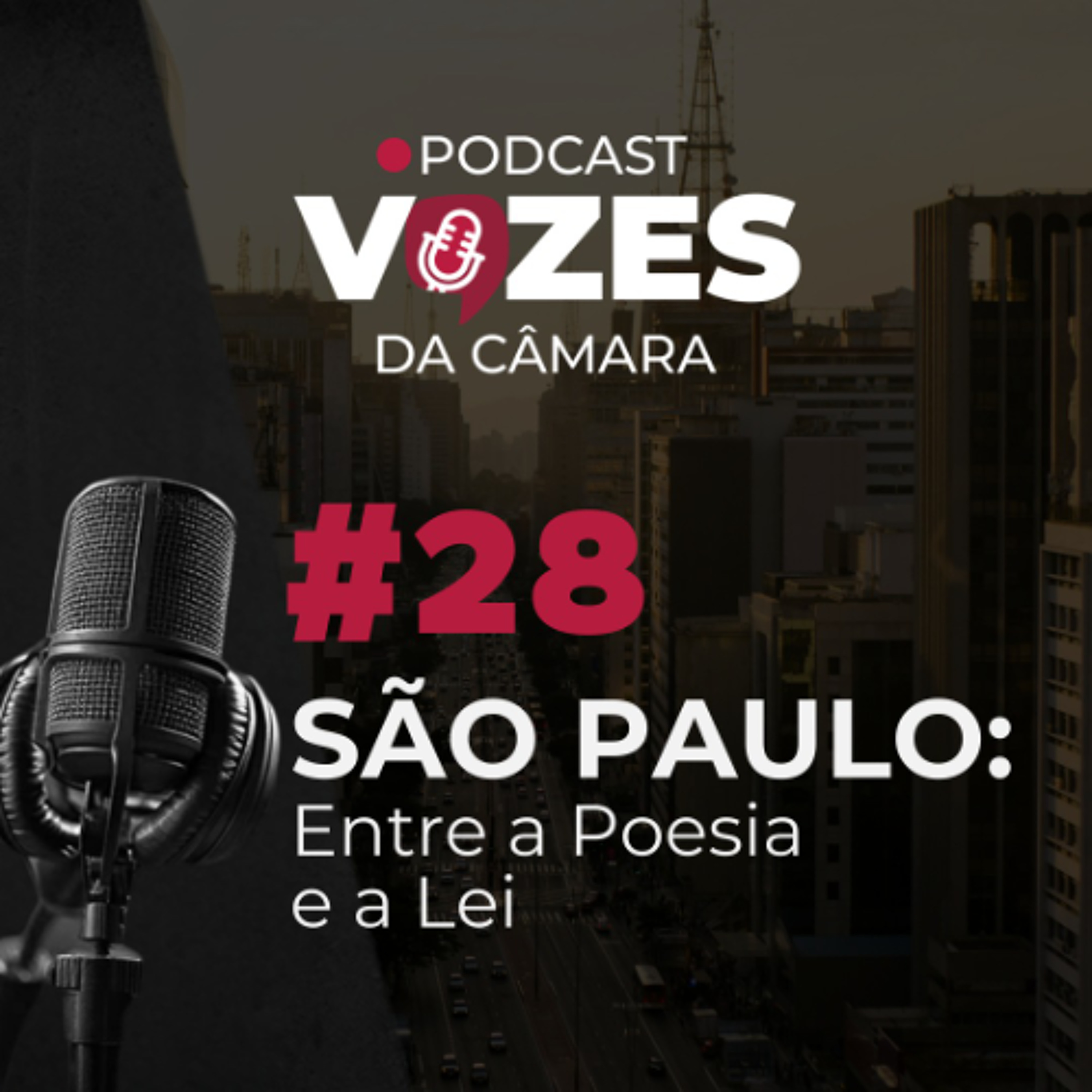 30.01.2026 = EPISÓDIO 28 = VOZES DA CÂMARA = SÃO PAULO: ENTRE A POESIA E A LEI episode artwork