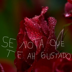 Se Nota que te a Gustado (vocals Ft. KRIZE)