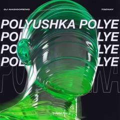 Dj Nasigoreng & Tsenay - Polyushka Polye (Techno)