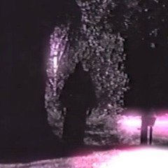 DOWNLOW PROD DEAD PIMPIN