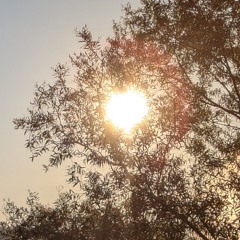 Everything will be alright (ballad version)