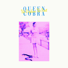 Queen Cobra