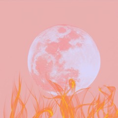 Lunar Nidra ~ Truth ~ Sagittarius Full Moon