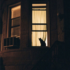 "MOONLIGHT ON THE DREAM WORLD"